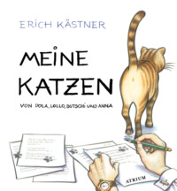 Meine Katzen