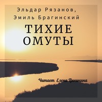 Эмиль Брагинский. Тихие омуты