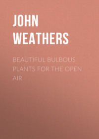 Beautiful Bulbous Plants for the Open Air