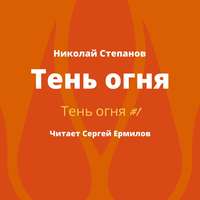 Николай Степанов. Тень огня