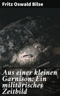 Aus einer kleinen Garnison: Ein militärisches Zeitbild