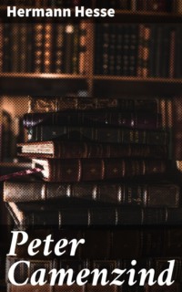 Peter Camenzind
