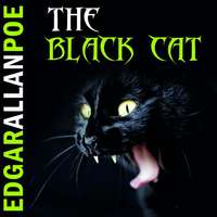 . The Black Cat
