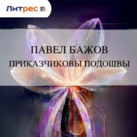 . Приказчиковы подошвы