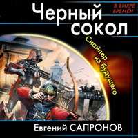 Евгений Сапронов. Черный сокол. Снайпер из будущего