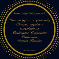 Александр Шкляревский. Что побудило к убийству? Рассказ судебного следователя. Секретное следствие (сборник)