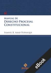 Manual de derecho procesal constitucional