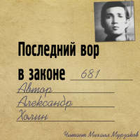 Александр Васильевич Холин. Последний вор в законе