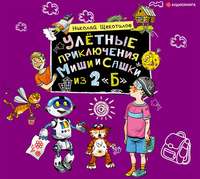 Николай Витальевич Щекотилов. Улётные приключения Миши и Сашки из 2 «Б»