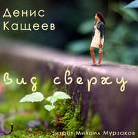 Денис Кащеев. Вид сверху