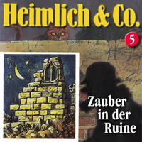 Hans-Joachim Herwald. Heimlich & Co., Folge 5: Zauber in der Ruine
