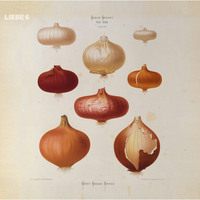 Hagen Rether. Hagen Rether, Liebe 6