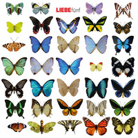 Hagen Rether. Liebe f?nf