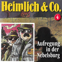Hans-Joachim Herwald. Heimlich & Co., Folge 4: Aufregung in der Nebelsburg