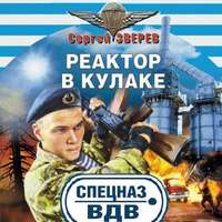 Сергей Зверев. Реактор в кулаке