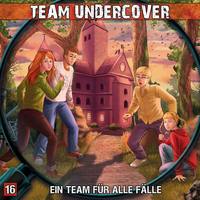 Dominik Ahrens. Team Undercover, Folge 16: Ein Team f?r alle F?lle