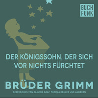 Br?der Grimm. Der K?nigssohn, der sich vor nichts f?rchtet