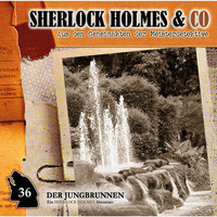 Markus Topf. Sherlock Holmes & Co, Folge 36: Der Jungbrunnen, Episode 1