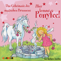 Barbara Zoschke. Das Geheimnis des magischen Brunnens - Hier kommt Ponyfee 12