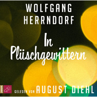 Wolfgang Herrndorf. In Pl?schgewittern