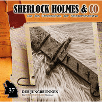 Markus Topf. Sherlock Holmes & Co, Folge 37: Der Jungbrunnen, Episode 2