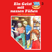 Ursel  Scheffler. Pizzabande, Folge 3: Ein Geist mit nassen F??en (oder Computerdiebe)