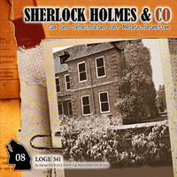 Markus Winter. Sherlock Holmes & Co, Folge 8: Loge 341