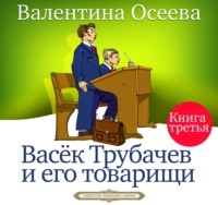 Валентина Осеева. Васек Трубачев и его товарищи. Книга третья