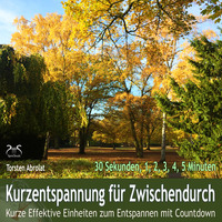 . Kurzentspannung f?r Zwischendurch - 30 Sekunden, 1 bis 5 Minuten - Kurze Effektive Einheiten zum Entspannen mit Countdown