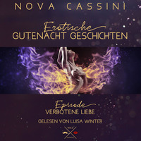 Nova Cassini. Verbotene Liebe - Erotische Gutenacht Geschichten, Band 5 (ungek?rzt)