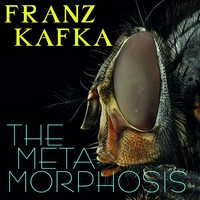 Франц Кафка. The Metamorphosis