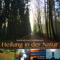 Franziska Diesmann. Heilung in der Natur - SyncSouls Kurzmeditationen: Wald, Wiese, Meer, Fluss, Landschaft, Sonne, Schnee