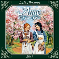. Anne auf Green Gables, Folge 3: Jede Menge Missgeschicke