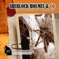 Markus Winter. Sherlock Holmes & Co, Folge 5: Das Spinnennetz