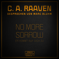 C. A. Raaven. No more sorrow - Er kommt auf dich zu (ungek?rzt)