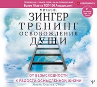 Михаэль Зингер. Тренинг освобождения души. От безысходности к радости осмысленной жизни