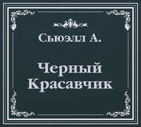Анна Сьюэлл. Черный Красавчик (сокращенный пересказ)