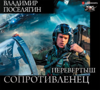 Владимир Поселягин. Перевертыш