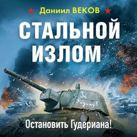 Даниил Веков. Стальной излом. Остановить Гудериана!