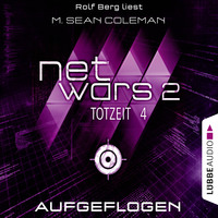 . Netwars, Staffel 2: Totzeit, Folge 4: Aufgeflogen