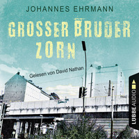 Johannes Ehrmann. Gro?er Bruder Zorn