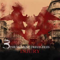 Heiko Martens. A Historical Psycho Thriller Series - The Sigmund Freud Files, Episode 3: Injury