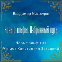 . Новые эльфы. Избранный путь