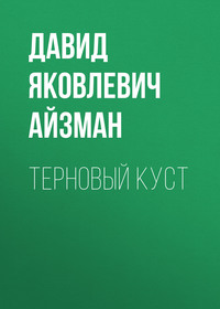 Давид Яковлевич Айзман. Терновый куст