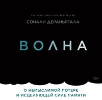Волна. О немыслимой потере и исцеляющей силе памяти