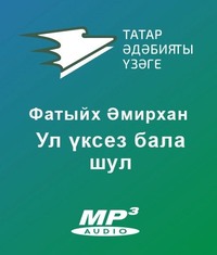 Әмирхан Фатих. Ул үксез бала шул