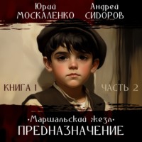 . Предназначение. Книга 1. Часть 2