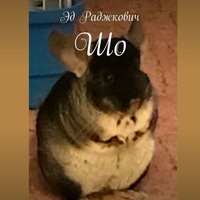 Эд Раджкович. Шо