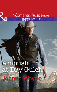 Ambush At Dry Gulch