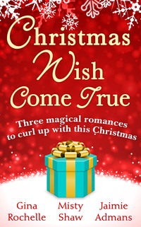 Christmas Wish Come True
